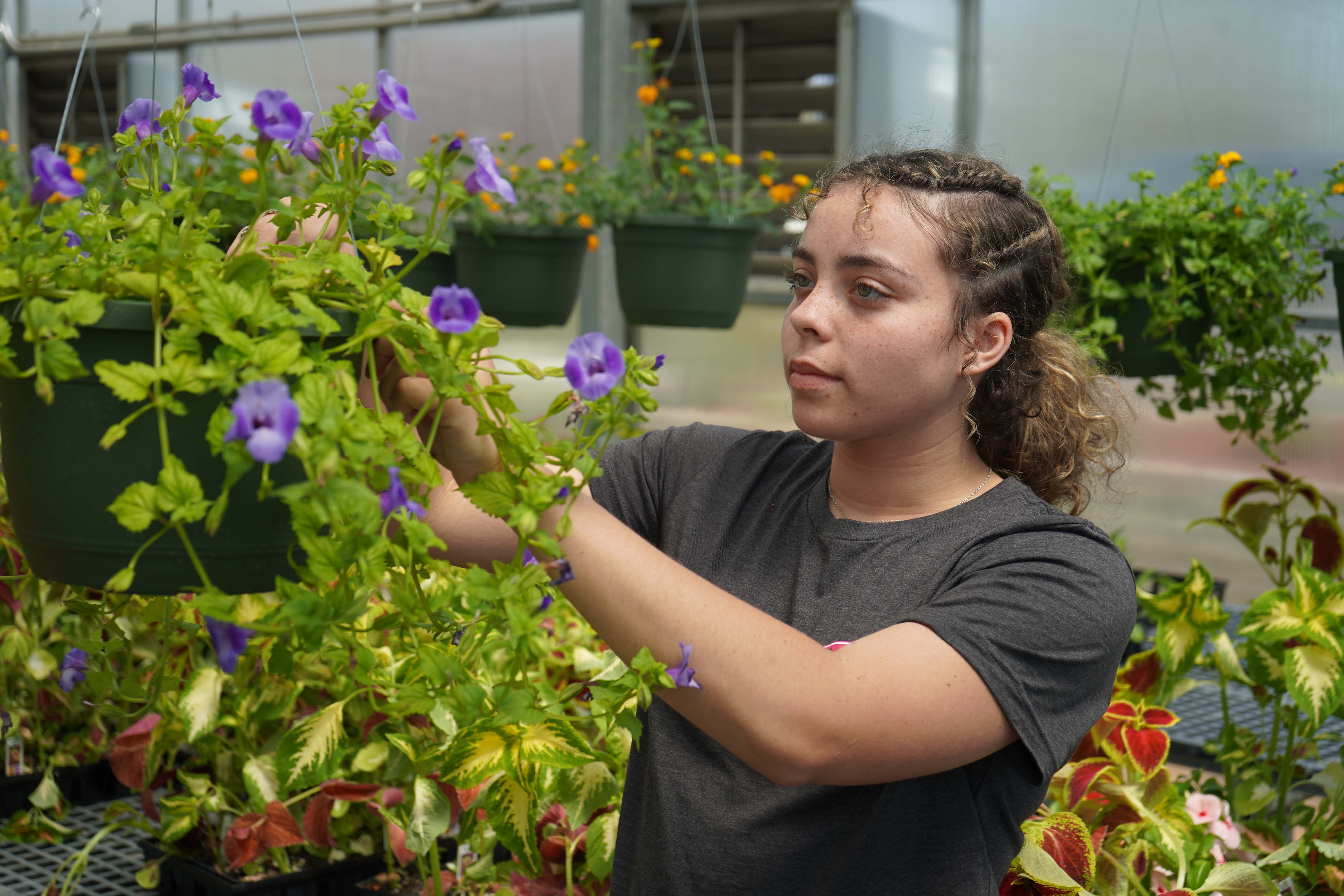 Shelby Madden, a app Horticulture student from LaFayette, tends to plants during the annual Spring Plant Sale. Madden has a greenhouse and small-scale plant and vegetable farm; she is starting a business named “Maddhouse Farm.”